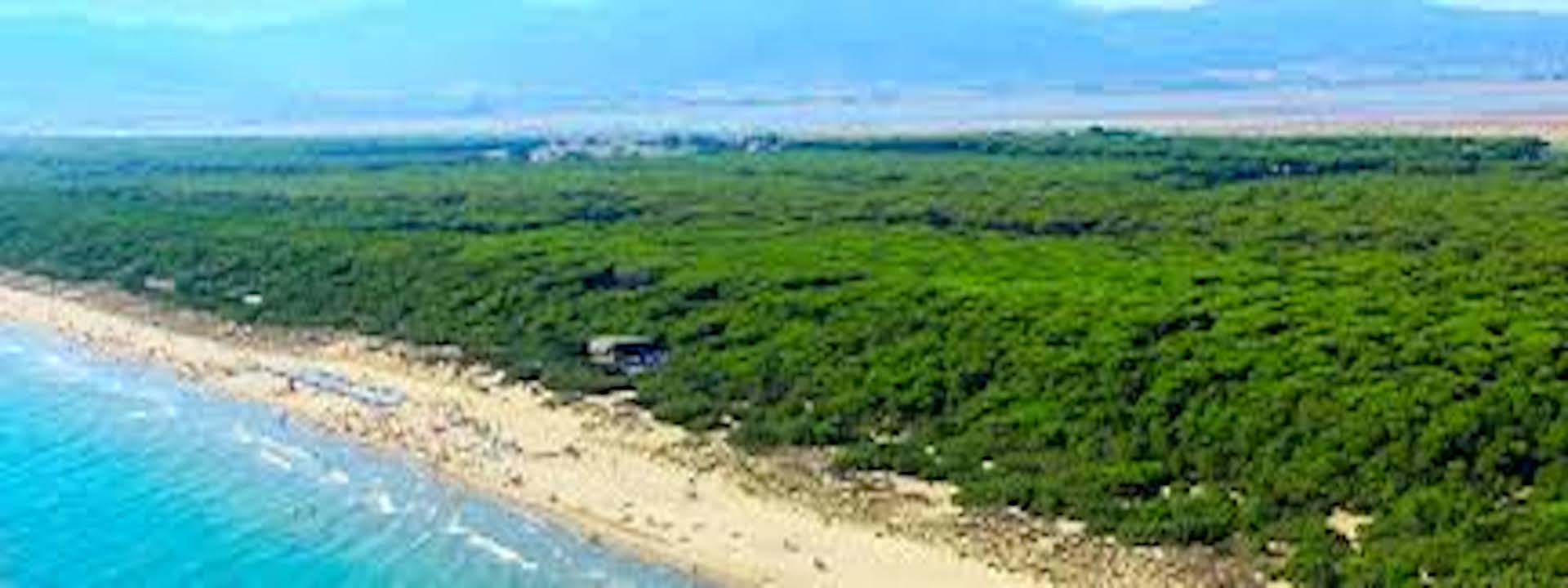 Mare Verde